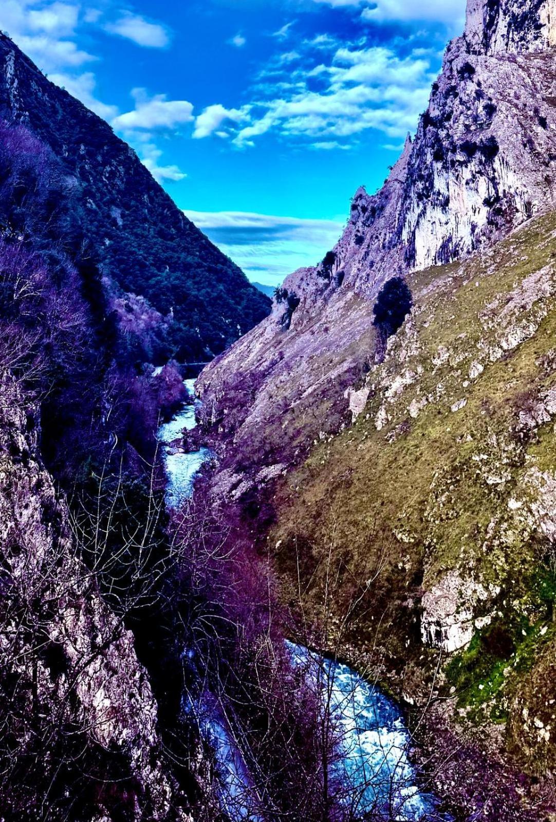 Apartamentos El Caxigu Arenas De Cabrales Exteriér fotografie